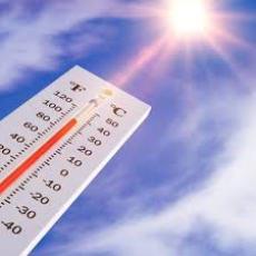 Zomerhitte - lees wat u kunt doen om de warme dagen veilig door te komen!