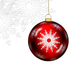 Openingstijden 24 en 31 december